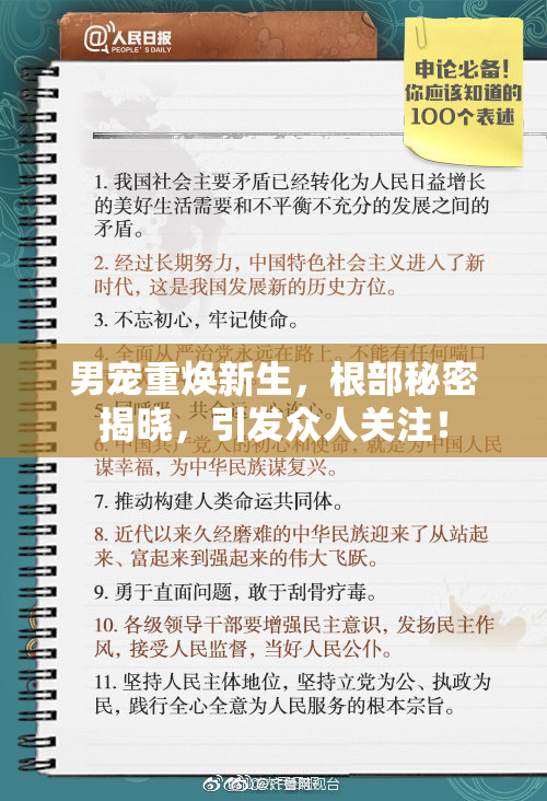 男宠重焕新生，根部秘密揭晓，引发众人关注！