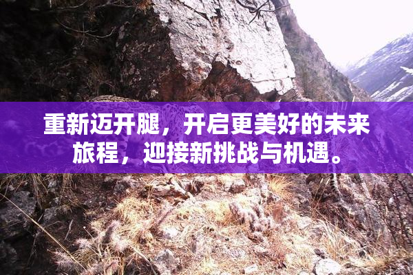 重新迈开腿，开启更美好的未来旅程，迎接新挑战与机遇。