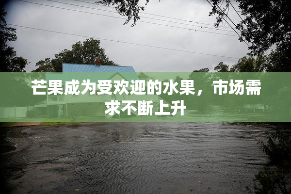 芒果成为受欢迎的水果，市场需求不断上升