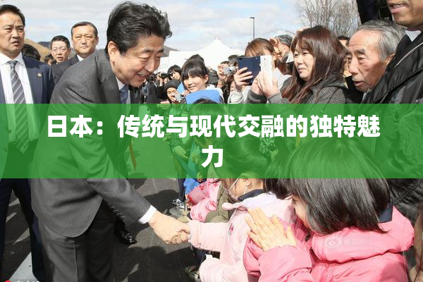 日本：传统与现代交融的独特魅力