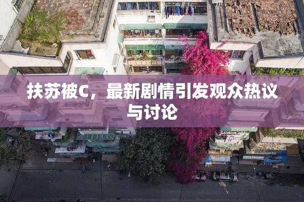 扶苏被C，最新剧情引发观众热议与讨论
