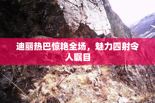 迪丽热巴惊艳全场，魅力四射令人瞩目
