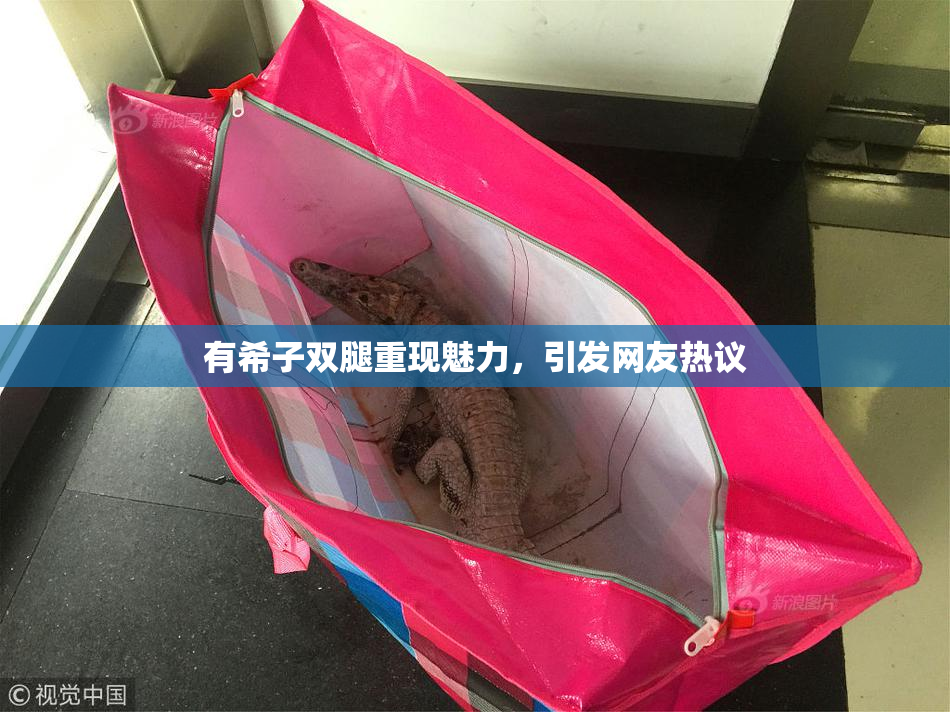 有希子双腿重现魅力，引发网友热议