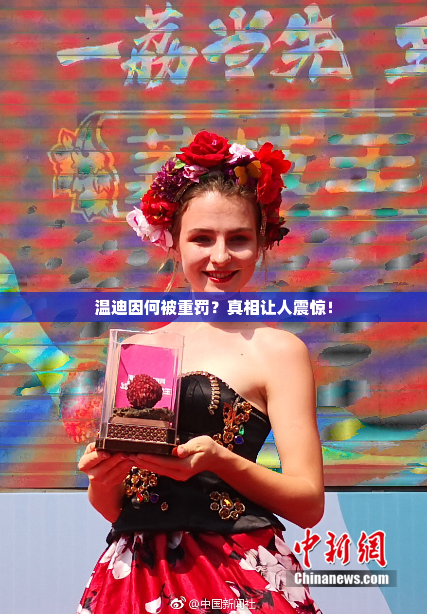 温迪因何被重罚？真相让人震惊！