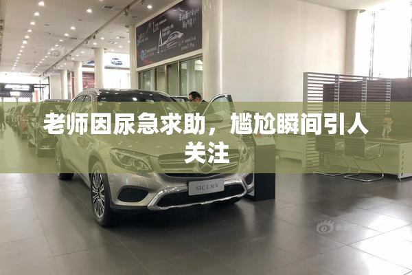 老师因尿急求助，尴尬瞬间引人关注
