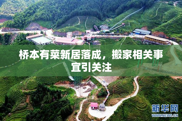 桥本有菜新居落成，搬家相关事宜引关注