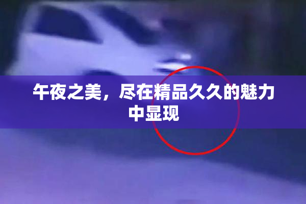 午夜之美，尽在精品久久的魅力中显现