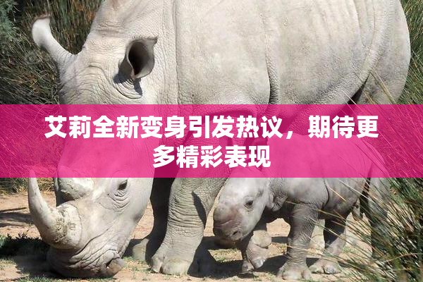艾莉全新变身引发热议，期待更多精彩表现