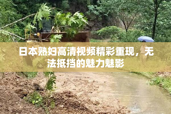 日本熟妇高清视频精彩重现，无法抵挡的魅力魅影