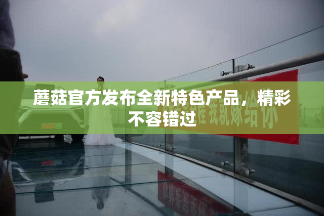 蘑菇官方发布全新特色产品，精彩不容错过