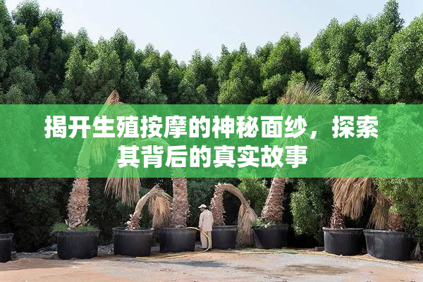 揭开生殖按摩的神秘面纱，探索其背后的真实故事