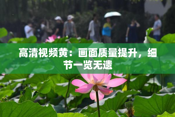高清视频黄：画面质量提升，细节一览无遗