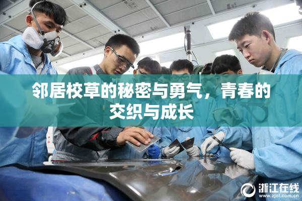 邻居校草的秘密与勇气，青春的交织与成长