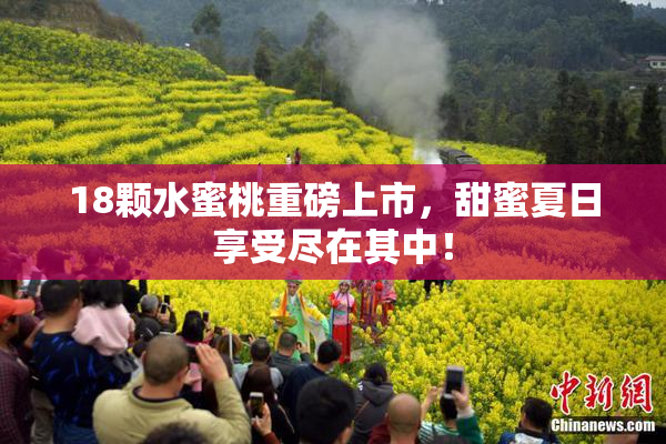 18颗水蜜桃重磅上市，甜蜜夏日享受尽在其中！