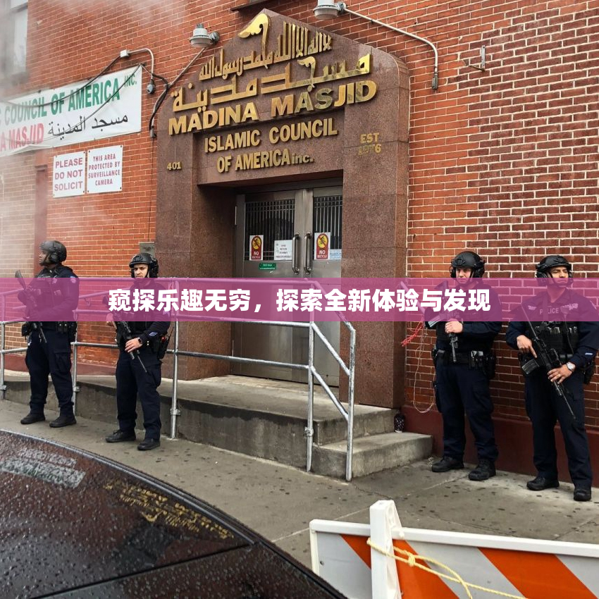 窥探乐趣无穷，探索全新体验与发现