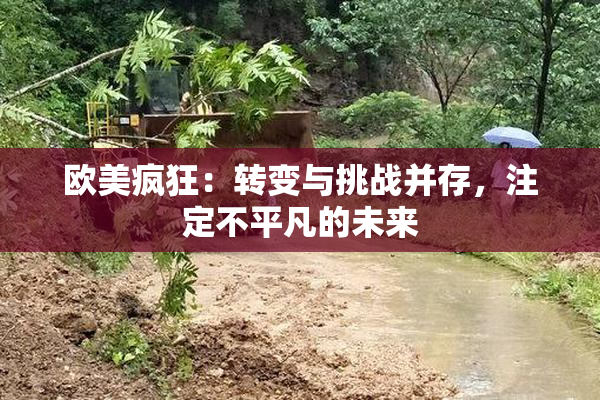 欧美疯狂：转变与挑战并存，注定不平凡的未来