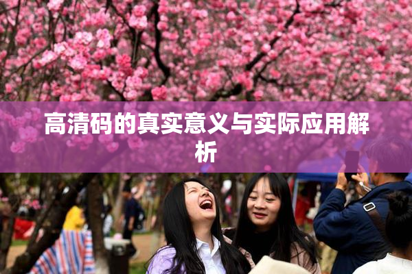 高清码的真实意义与实际应用解析