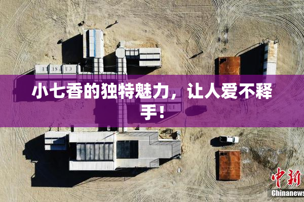 小七香的独特魅力，让人爱不释手！