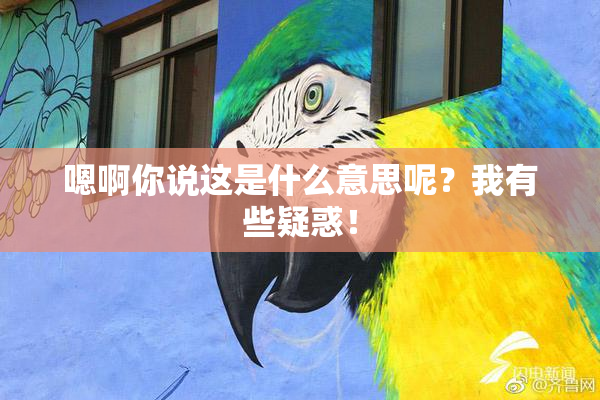 嗯啊你说这是什么意思呢？我有些疑惑！