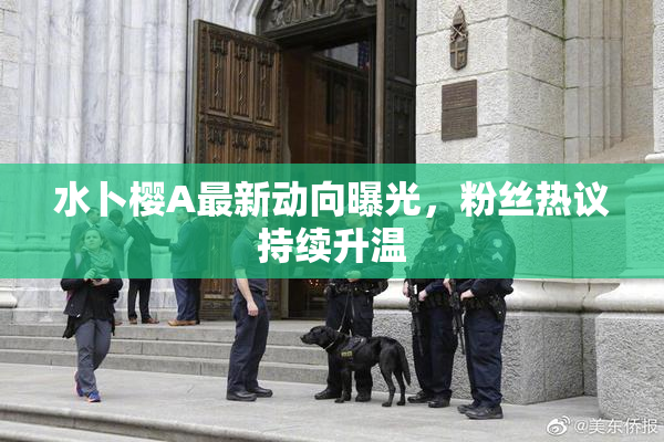 水卜樱A最新动向曝光，粉丝热议持续升温