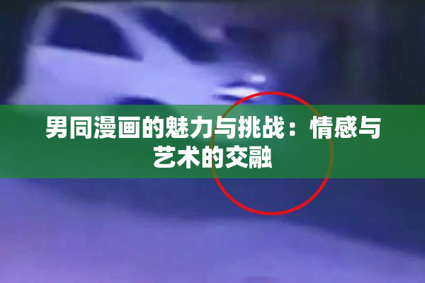 男同漫画的魅力与挑战：情感与艺术的交融