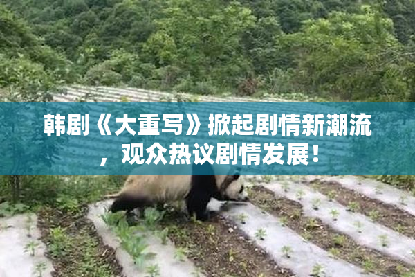 韩剧《大重写》掀起剧情新潮流，观众热议剧情发展！