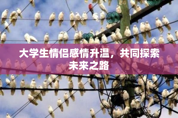 大学生情侣感情升温，共同探索未来之路