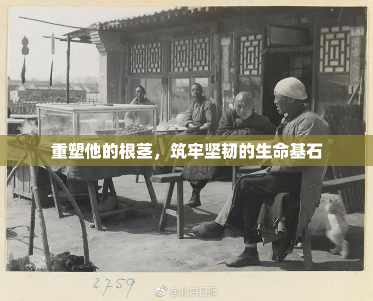 重塑他的根茎，筑牢坚韧的生命基石