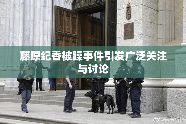 藤原纪香被躁事件引发广泛关注与讨论
