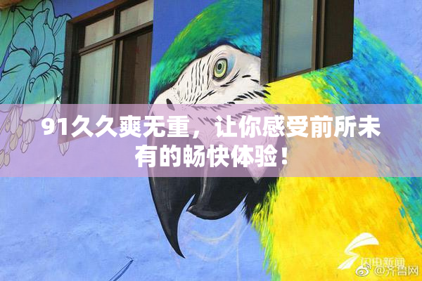 91久久爽无重，让你感受前所未有的畅快体验！