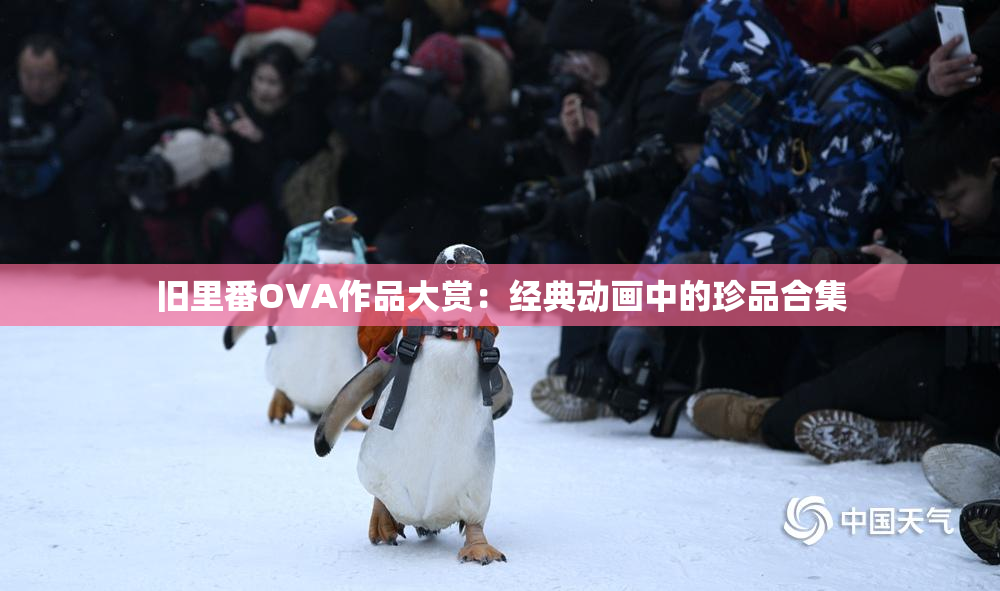 旧里番OVA作品大赏：经典动画中的珍品合集