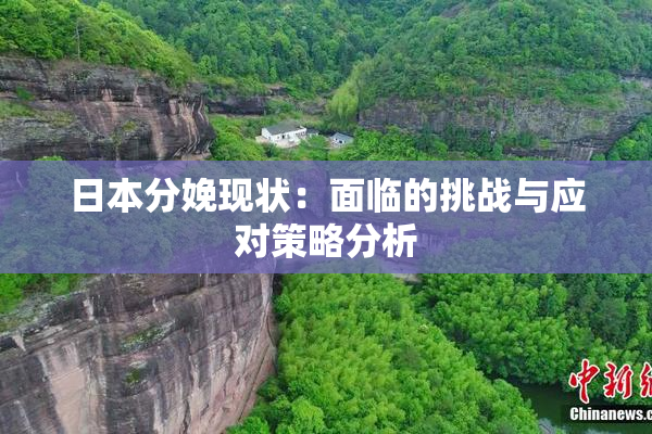 日本分娩现状：面临的挑战与应对策略分析