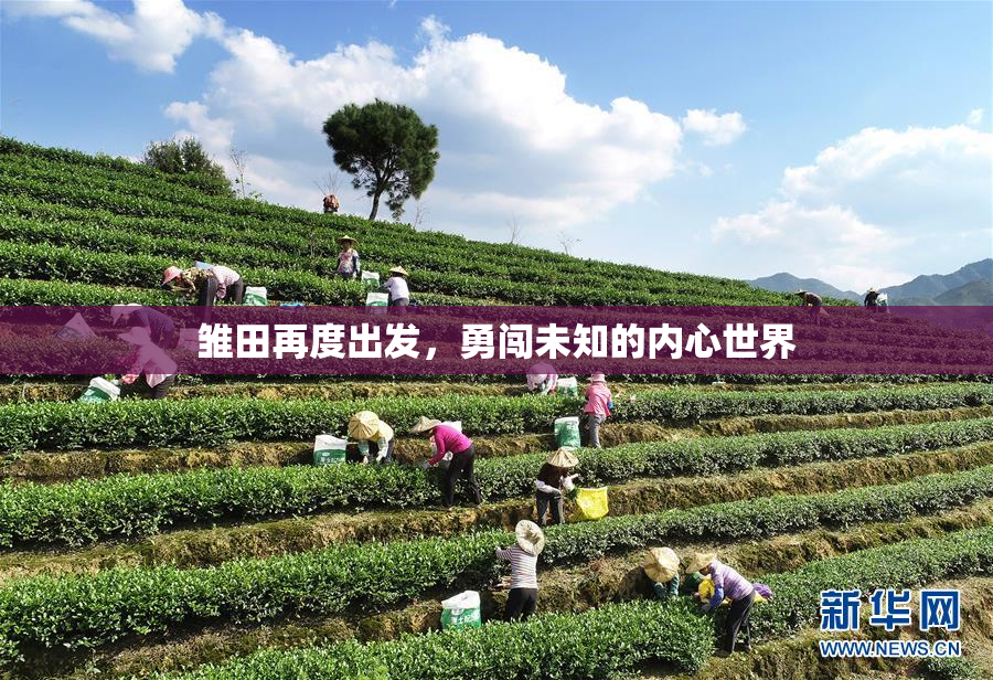 雏田再度出发，勇闯未知的内心世界