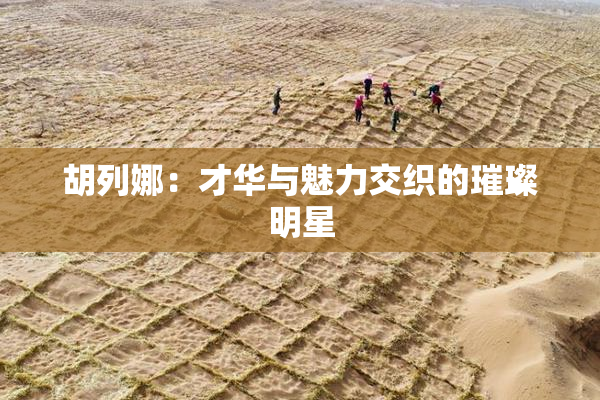 胡列娜：才华与魅力交织的璀璨明星