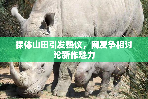 裸体山田引发热议，网友争相讨论新作魅力