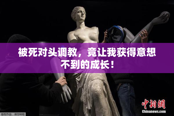被死对头调教，竟让我获得意想不到的成长！