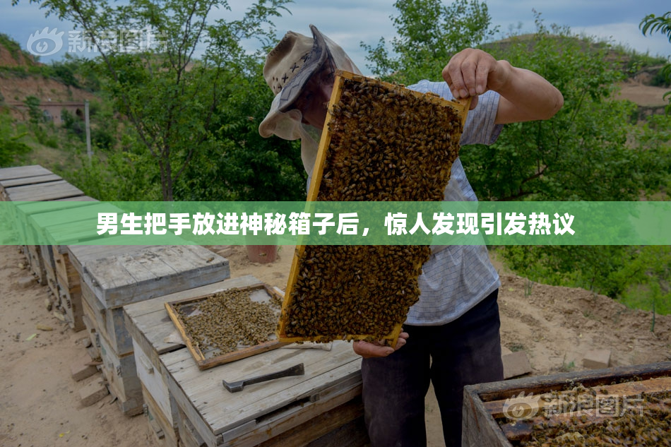男生把手放进神秘箱子后，惊人发现引发热议