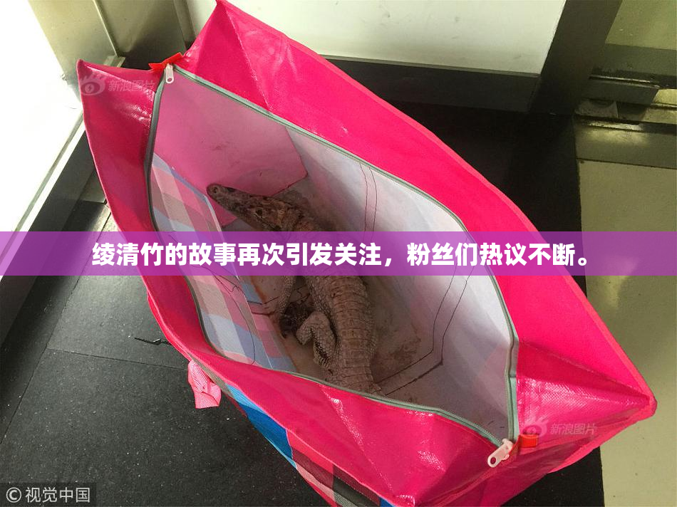 绫清竹的故事再次引发关注，粉丝们热议不断。