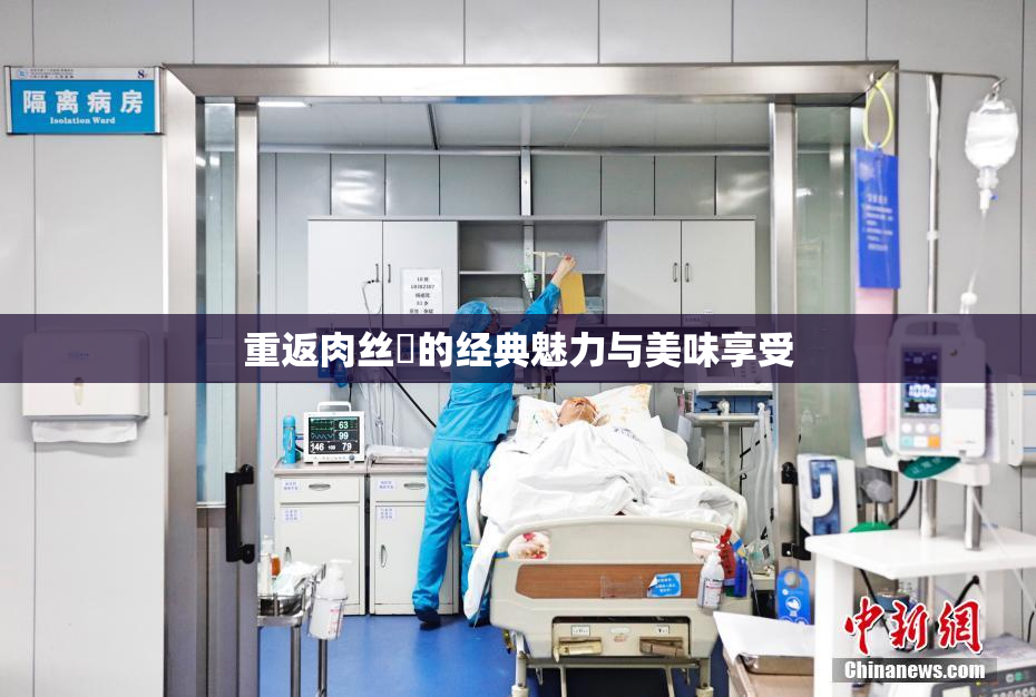 重返肉丝祙的经典魅力与美味享受