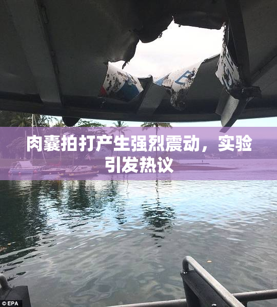 肉囊拍打产生强烈震动，实验引发热议
