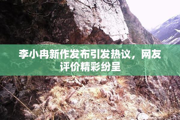 李小冉新作发布引发热议，网友评价精彩纷呈