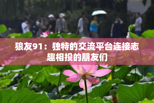 狼友91：独特的交流平台连接志趣相投的朋友们