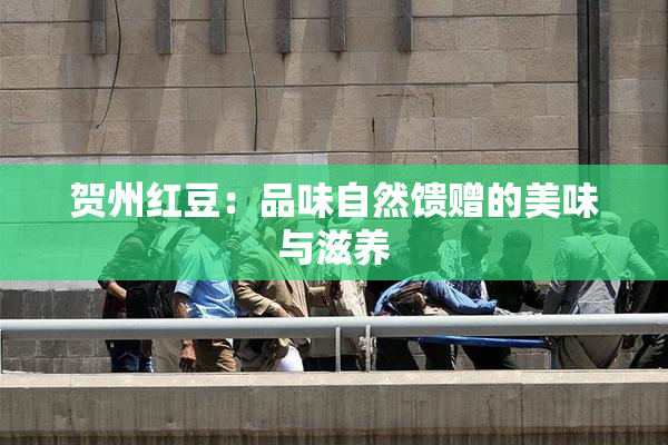 贺州红豆：品味自然馈赠的美味与滋养