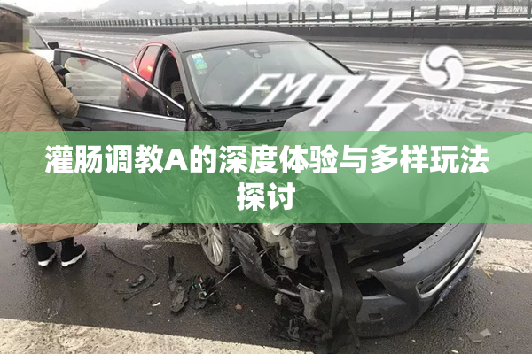 灌肠调教A的深度体验与多样玩法探讨