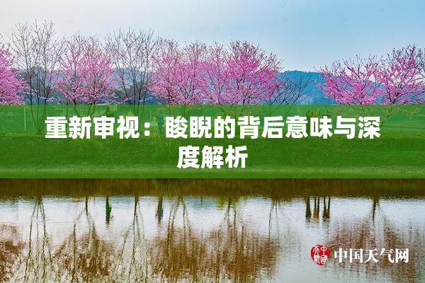 重新审视：睃睨的背后意味与深度解析