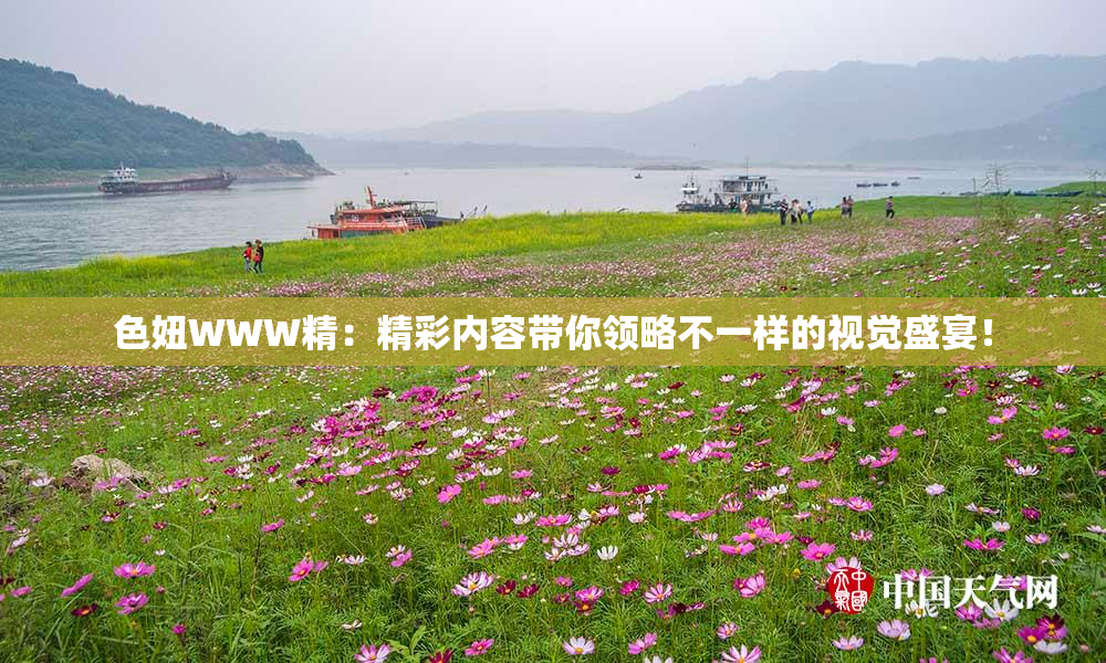 色妞WWW精：精彩内容带你领略不一样的视觉盛宴！