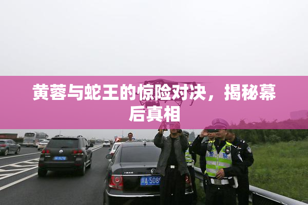 黄蓉与蛇王的惊险对决，揭秘幕后真相