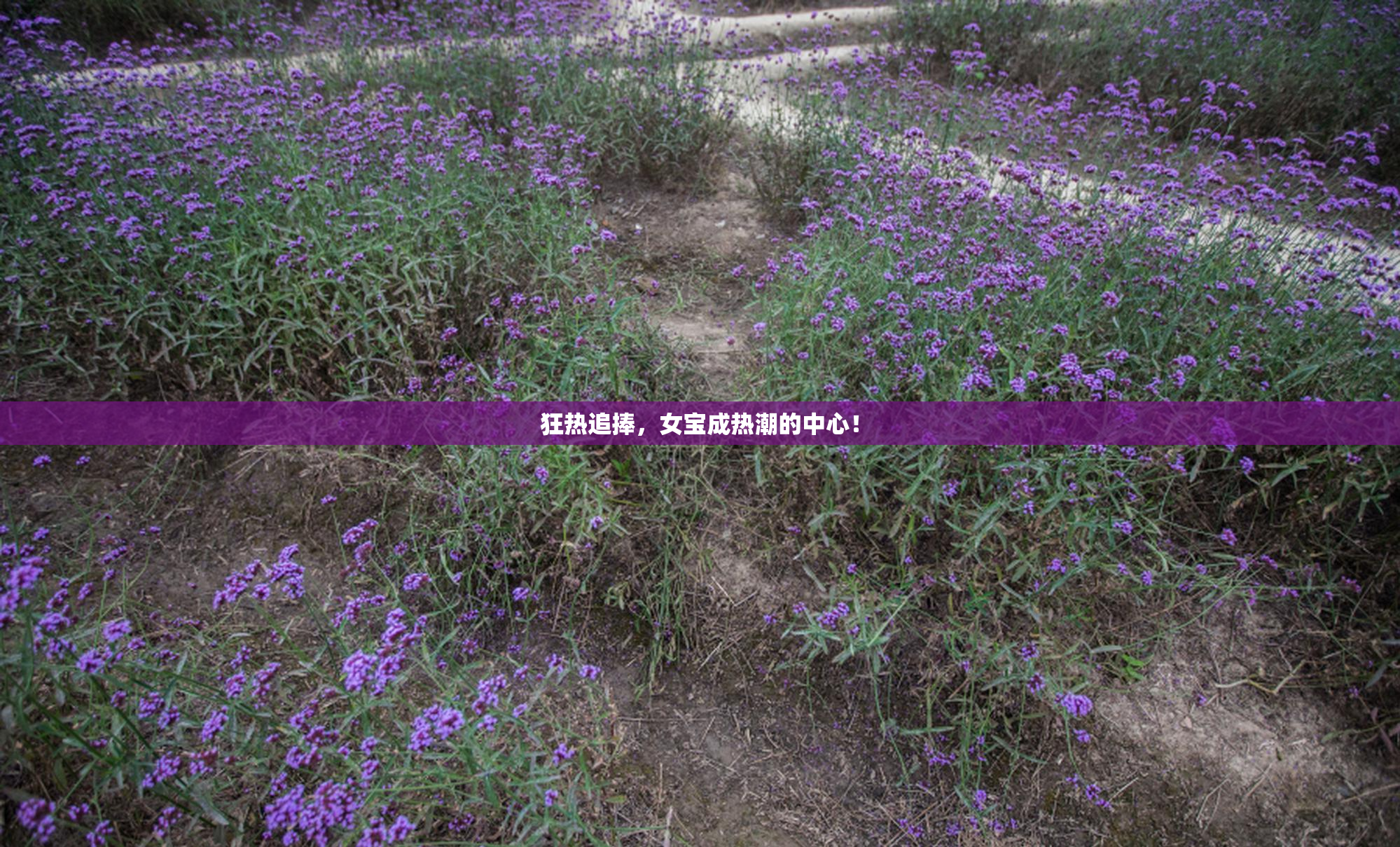 狂热追捧，女宝成热潮的中心！