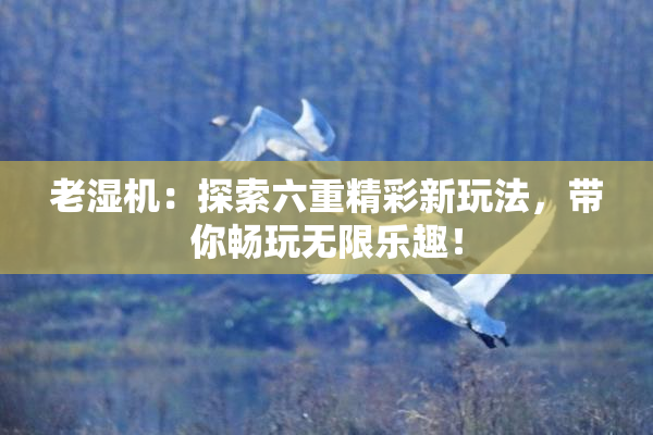 老湿机：探索六重精彩新玩法，带你畅玩无限乐趣！