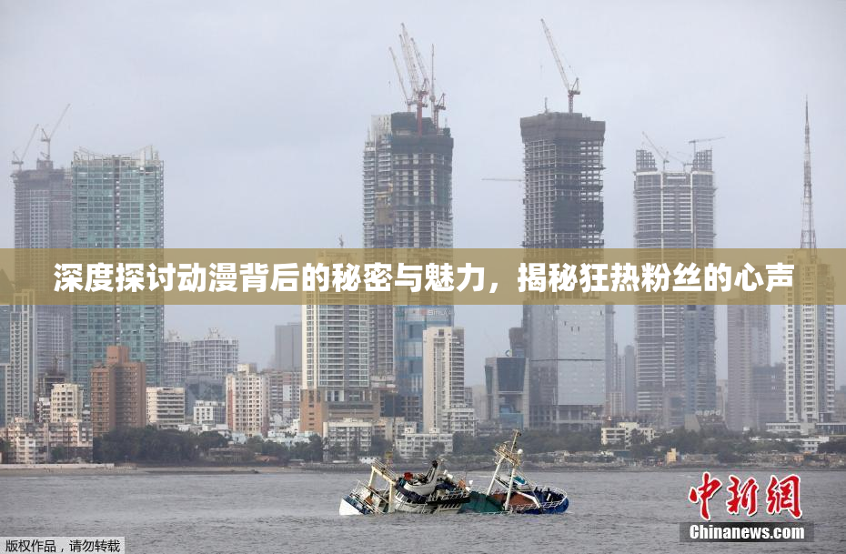 深度探讨动漫背后的秘密与魅力，揭秘狂热粉丝的心声
